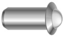 Stainless Steel Spring Plunger