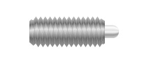 Stainless Steel Spring Plunger